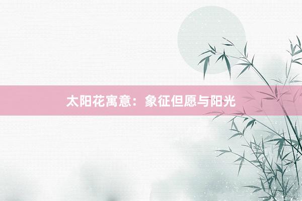 太阳花寓意：象征但愿与阳光