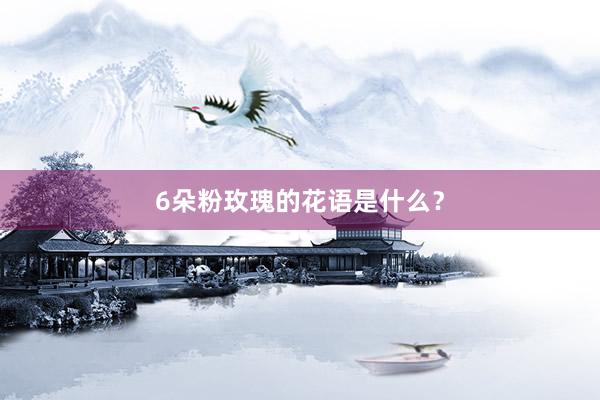 6朵粉玫瑰的花语是什么？