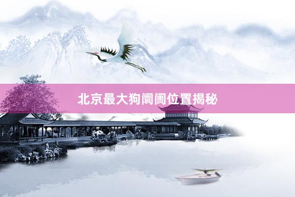 北京最大狗阛阓位置揭秘