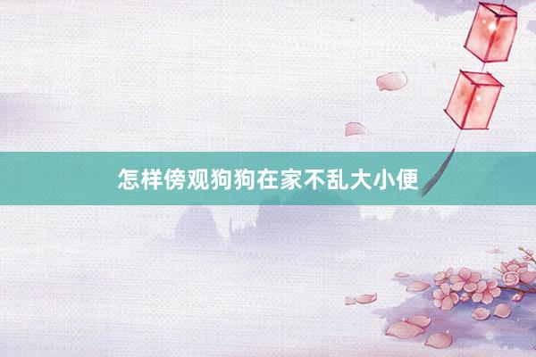 怎样傍观狗狗在家不乱大小便