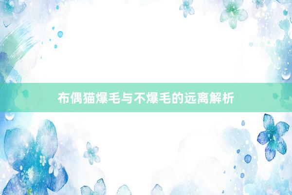 布偶猫爆毛与不爆毛的远离解析