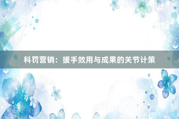 科罚营销：援手效用与成果的关节计策
